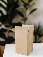 cardboard box on table in room with plants