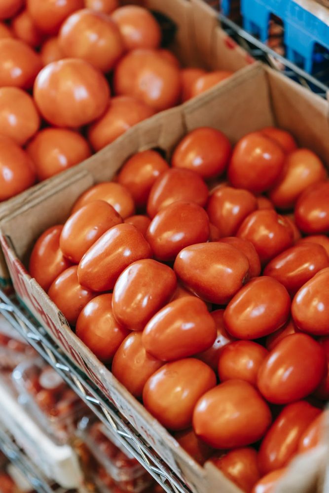 fresh tomatoes in cardboard boxes for sale
